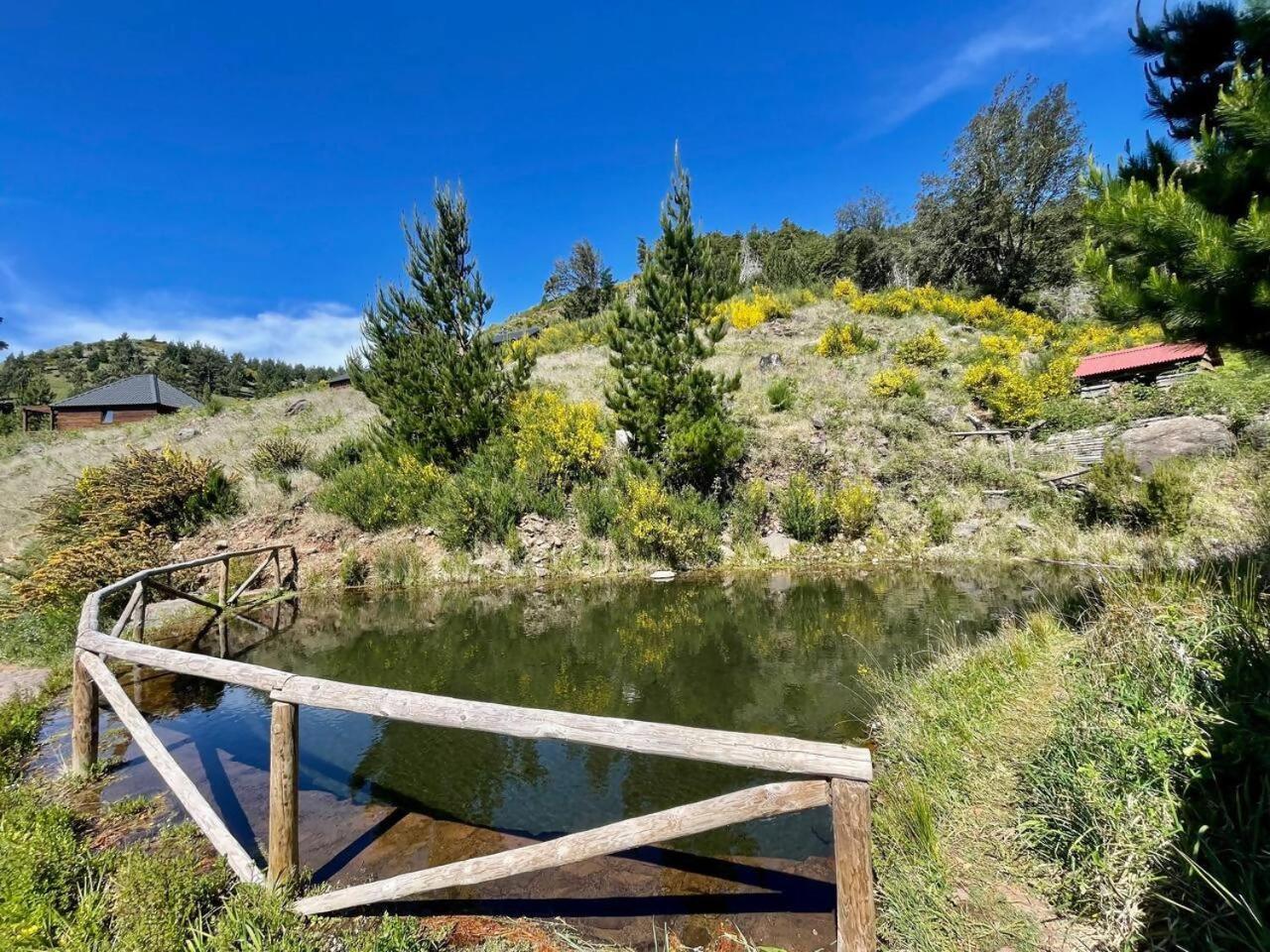 ホテル Mountain Eco Shelter 7 フンシャル エクステリア 写真